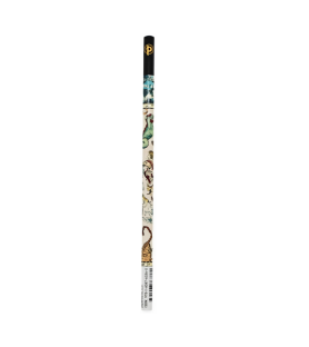 Paperblanks- Set 4 matite Planisfero Celeste