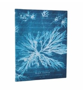 Taccuino morbido pagine avorio a righe. Cm 24x18 - Fiori di mare - Paperblanks