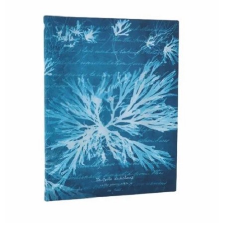 Taccuino morbido pagine avorio a righe. Cm 24x18 - Fiori di mare - Paperblanks