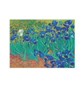 Puzzle 1000 Pezzi Iris di Van Gogh | Paperblanks Art