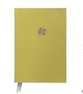 Taccuino notebook in pella vegana.  A5 puntinato.Arte&bene. Majoie lime