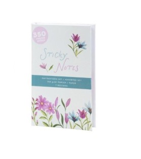 Set di Sticky Notes Cornovaglia. 105x175mm, 350pz.