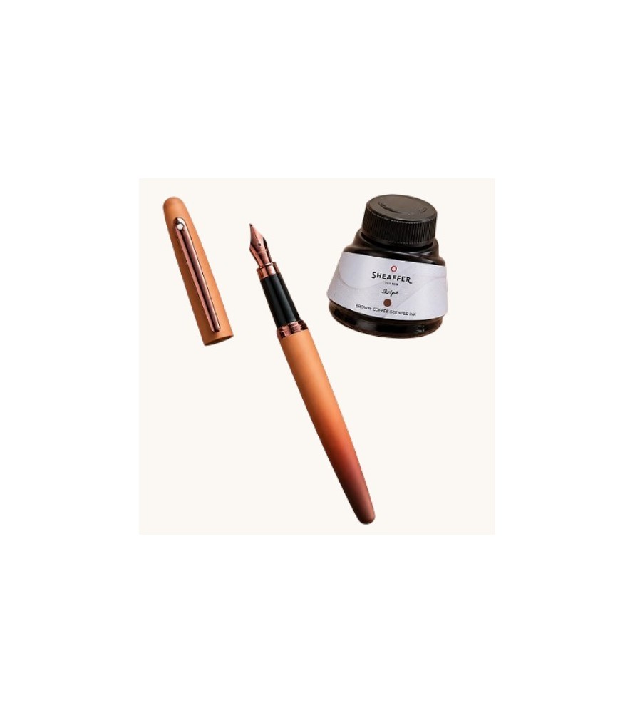 Stilografica Sheaffer 100 Coffee Edition inchiostro  con profumazione caffe'