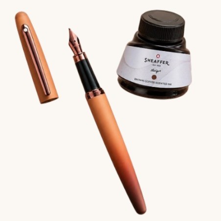 Stilografica Sheaffer 100 Coffee Edition inchiostro  con profumazione caffe'