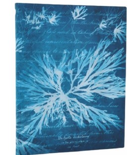 Taccuino morbido pagine avorio a righe. Cm 24x18 - Fiori di mare - Paperblanks