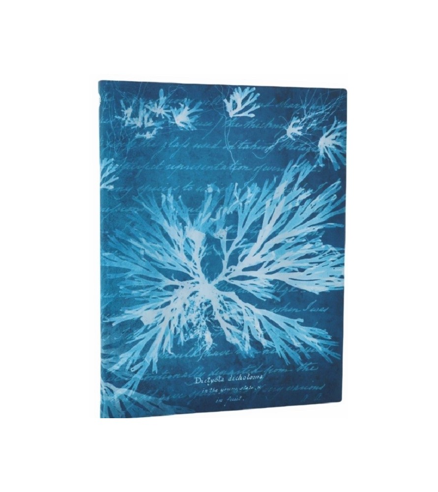 Taccuino morbido pagine avorio a righe. Cm 24x18 - Fiori di mare - Paperblanks