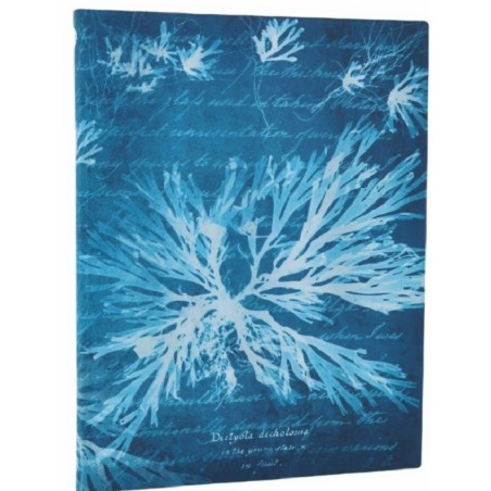 Taccuino morbido pagine avorio a righe. Cm 24x18 - Fiori di mare - Paperblanks