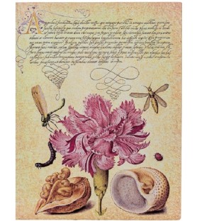 Taccuino morbido pagine neutre cm 24x18 - Mira Botanica - Paperblanks