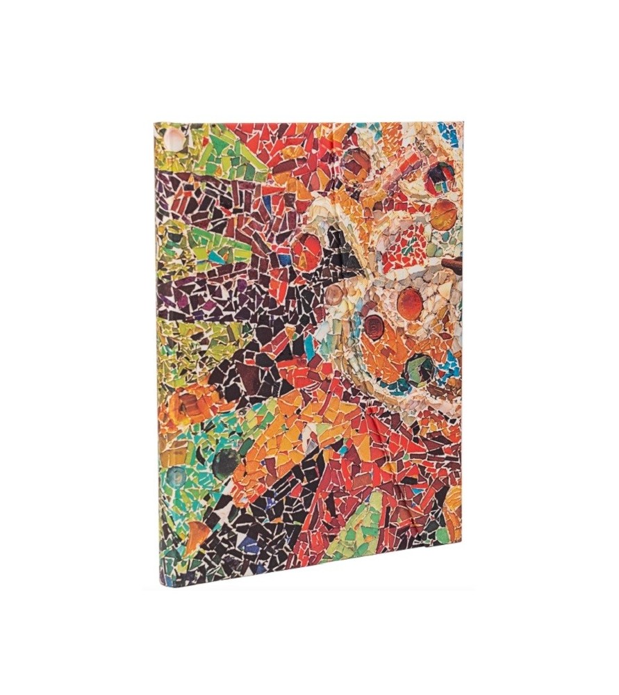 Taccuino rigido pagine bianche cm 24x18 - Gaudi - Paperblanks