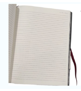 Taccuino 19 x 25 cm a righe – Falene Dorate- Bookaroo. Copertina soft